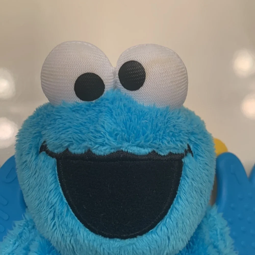 Sesame Street Blue Cookie Monster Plush Baby Teether
